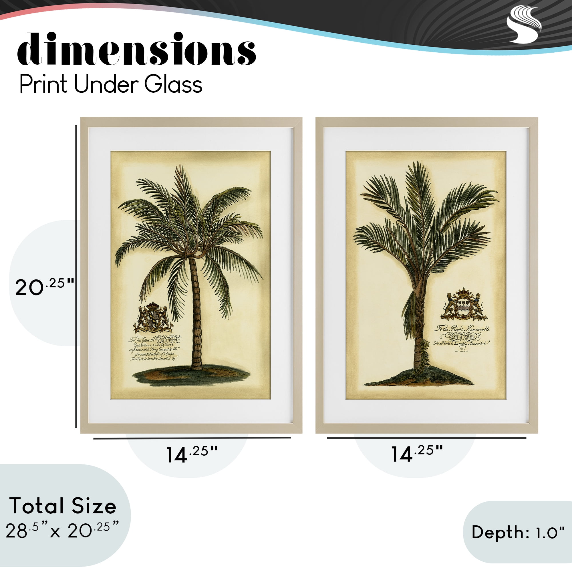 Stupell Industries Vintage Historical Palms 2 Piece Birch Framed Print Under Glass Set, design by Vision Studio