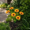 thumbnail image 5 of Flower Solar Garden Lights, Flowers Solar Pathway Lights, Solar Sunflower Lights Outdoor, Waterproof Garden Stake Lights for Yard Patio, 5 of 7