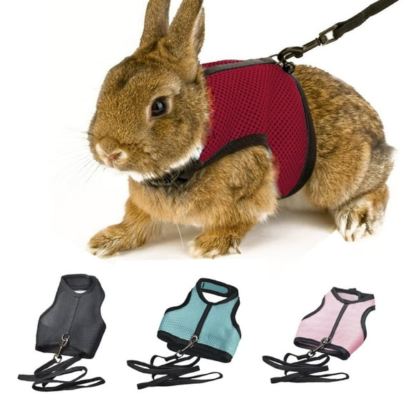 D-GROEE Guinea Pig Harness with Traction Ferret Rats Hamster Soft Mesh Harness Leash Vest Set for Small Pet Rabbit Iguana Squirrel Chinchilla