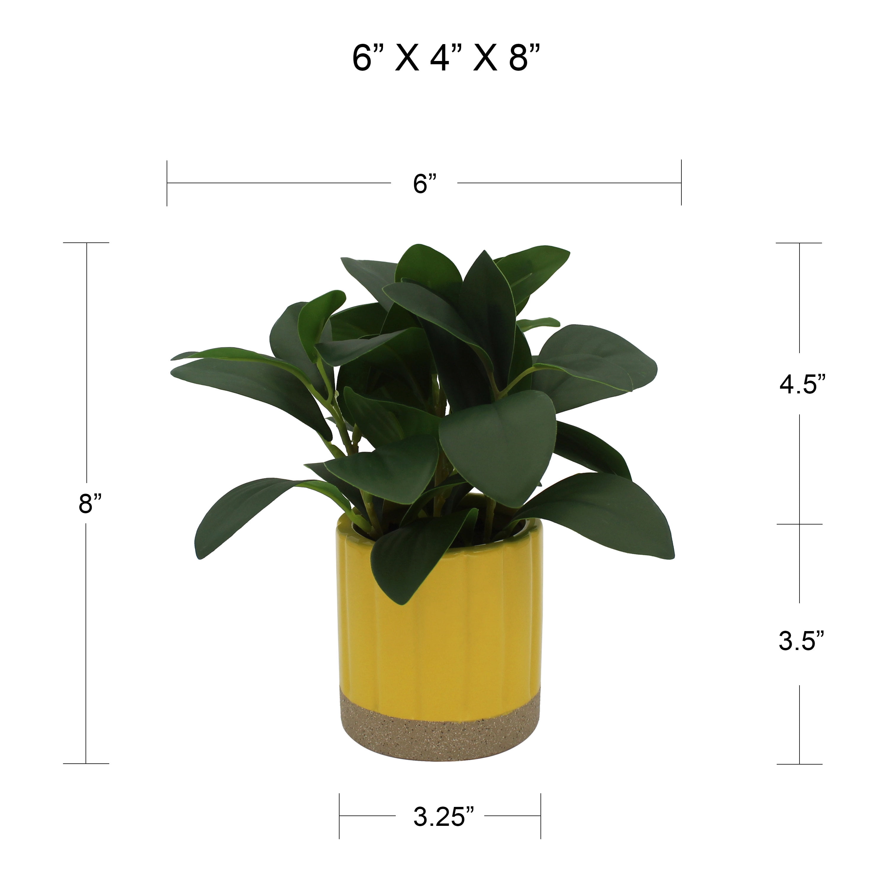 Mainstays by Becky G. & Alejandra 8 in Artificial Peperomia in Yellow Two-Tone Ribbed Ceramic Pot