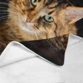 thumbnail image 4 of Cat Lover Blanket - Ultra-Soft Micro Fleece Blanket 60" x 80", 4 of 4
