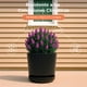 thumbnail image 4 of Set 2 Macetas 35cm Moderna Minimalista Interior Exterior negro Elly Decor ED-MCA02-35CM, 4 of 7