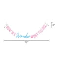 thumbnail image 3 of Pink/Blue Gender Reveal How We Wonder What You Are Banner, 76", by Way To Celebrate, 3 of 5