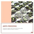thumbnail image 3 of 100Pcs Clear Garden Plant Protection Cloche Hydroponic Growing Cover, 3 of 9