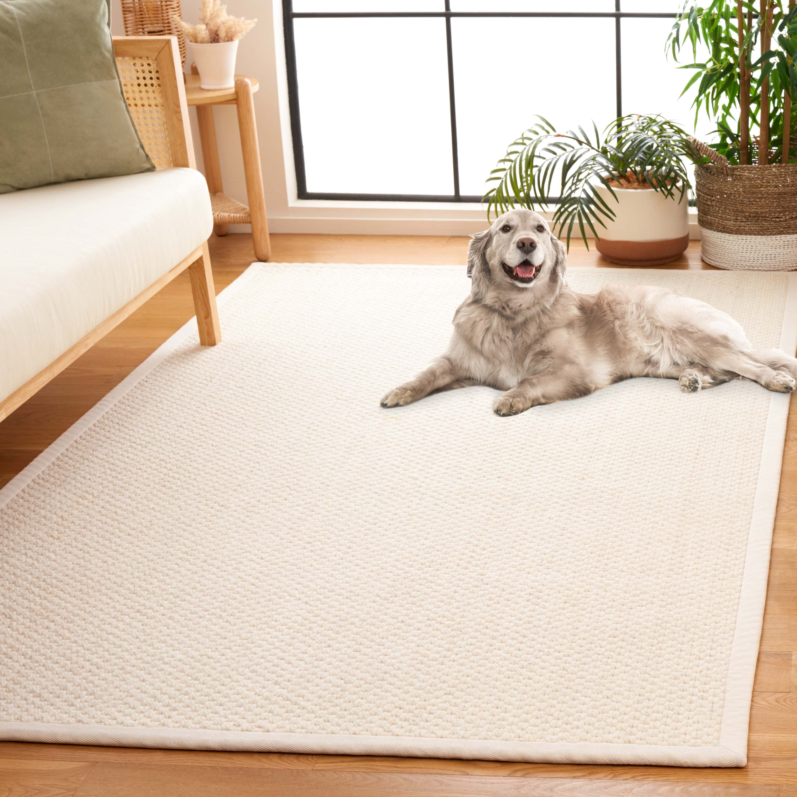 SAFAVIEH Palm Beach Miranda Solid Area Rug, Ivory, 3' x 5'