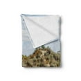 thumbnail image 2 of Beach Pathway Soft Flannel Fleece Blanket, Wooden Boardwalk in the Dunes Leading to the Sandy Beach the Path by the Sea, Cozy Plush for Indoor and Outdoor Use, 50" x 70", Multicolor, by Ambesonne, 2 of 5