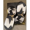 thumbnail image 3 of Ni - ke Men's Ni - ke AIR JORDAN 6 RETRO DMP "Defining Moments Pack" Size 15 -, 3 of 3