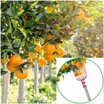 thumbnail image 3 of HEJULI 126 Inch Fruit Picker Pole Tool with Basket Telescoping Long Handle, 35-63 Inch Adjustable Apple Orange Picker Pole Tool with Basket for Avocado Acorn Lemon Pear Mango Tree Picker, 3 of 8