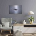 thumbnail image 6 of Luxe Metal Art 'Bald Eagle Soas' by Epic Portfolio, Metal Wall Art, 24"x16", 6 of 8