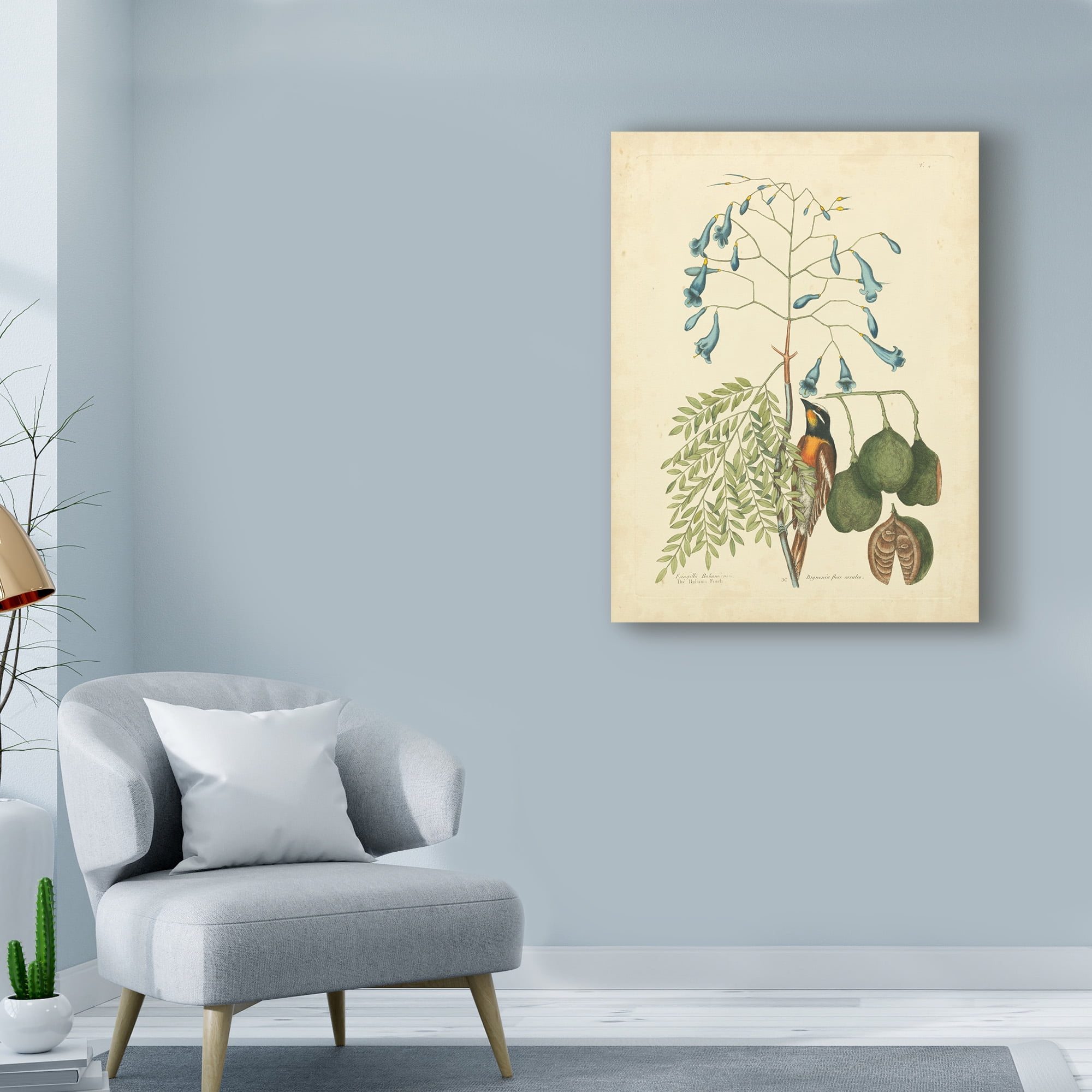 Trademark Fine Art 'Catesby Bird And Botanical II' Canvas Art by Mark Catesby