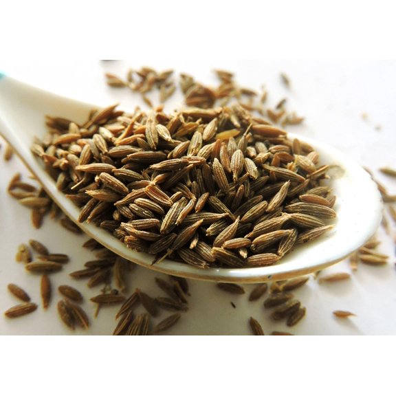 500 Organic CUMIN Cuminum Cyminum Herb Flower Seeds