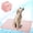 Pink, variant on Cooling Blanket for Dogs,Washable Dog Mat Ice Silk Portable Pet Self Pad for Indoor & Outdoor Car Seats