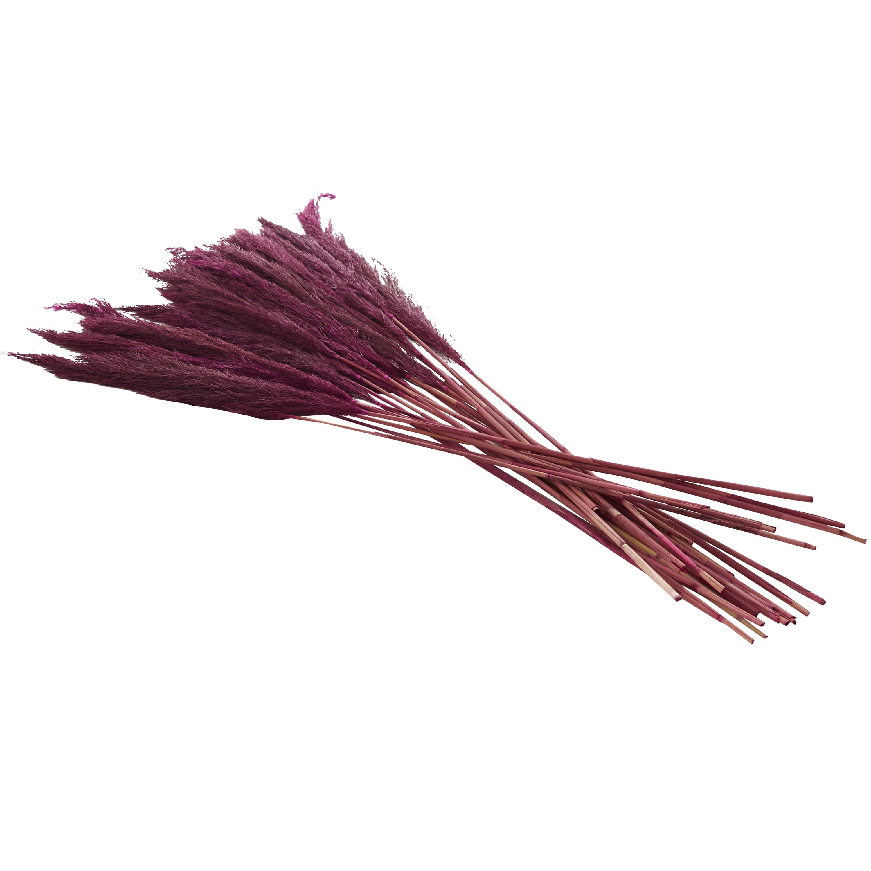 35" Dried Plant Natural Foliage Pampas Bouquet with Long Stems, by DecMode