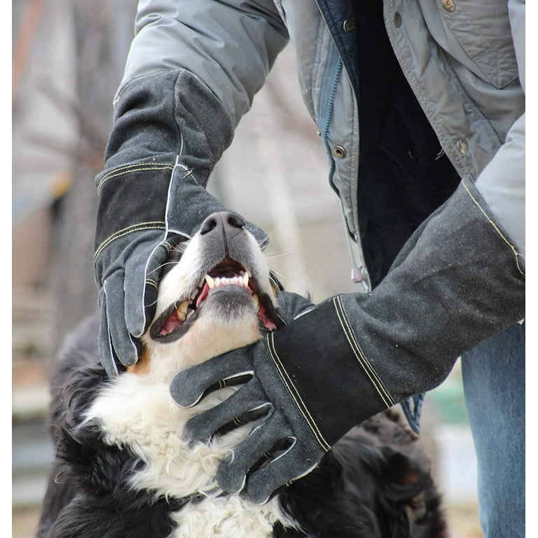 Protective Gloves For Dog Bites edu.svet.gob.gt