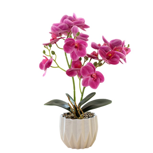 Película de impresión 3D, doble tenedor, phalaenopsis, bonsái, decoración del hogar, simulación de plantas en macetas
