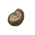 thumbnail image 3 of Hi-Line Gift Ltd Hedgehog Statue sur le Dos, 3 of 5