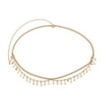 thumbnail image 1 of Double-layer Fine Glittering Small Star Tassel Waist Chain, Luxury Niche Sweet Waist And Chain,, 1 of 7