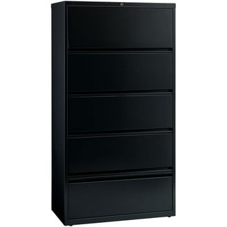 Scranton & Co 2-Drawer Metal Letter Width Vertical File Cabinet
