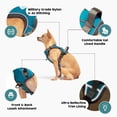 thumbnail image 3 of Arnés para perros Embark Adventure con ribete reflectante para perros grandes, 3 of 8