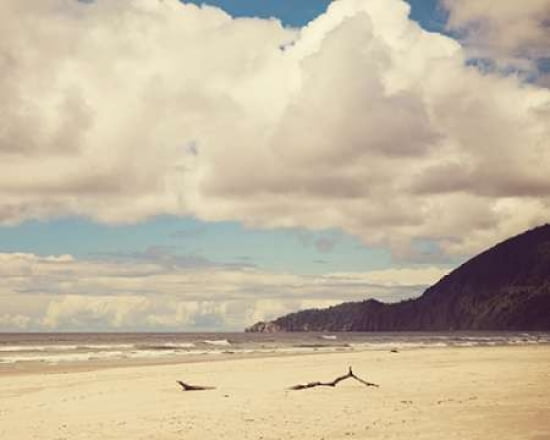 Breathe Easy Canvas