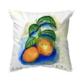 thumbnail image 2 of Betsy Drake NC1206 18 x 18 in. Two Oranges Noncorded Pillow - Large, 2 of 2