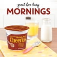 thumbnail image 3 of Honey Nut Cheerios Breakfast Cereal Cup, Gluten Free, Single Serve Cereal, 1.8 oz, 3 of 8