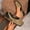 Gold, variant on Women's Low Heel Slingback Pumps, Chic Design Slip-On Dressy Shoes, Lightweight and Comfortable for Parties, Work and Everyday Wear Gold 40