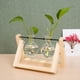 thumbnail image 4 of Florero de bulbo de terrario con soporte giratorio de madera 2 jarrones perfecl, 4 of 7