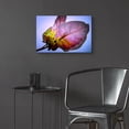 thumbnail image 6 of Epic Art 'Bougainvillea Leaf' by Pamela Plummer, Acrylic Glass Wall Art, 24"x16", 6 of 8