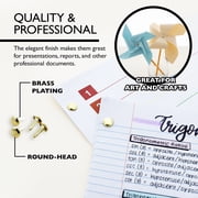 BAZIC Brass Plated Fasteners 1/2 Inch, Round Head Paper Fastener Brads (100/Pack), 1-Pack