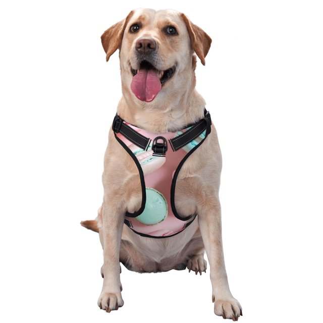 Balery Pastel Macarons Delight Arnés para Perros Grandes Antitirones, Arnés con Correa para Gato, Arnés Tipo Chaleco para Perros Pequeños-X-Large