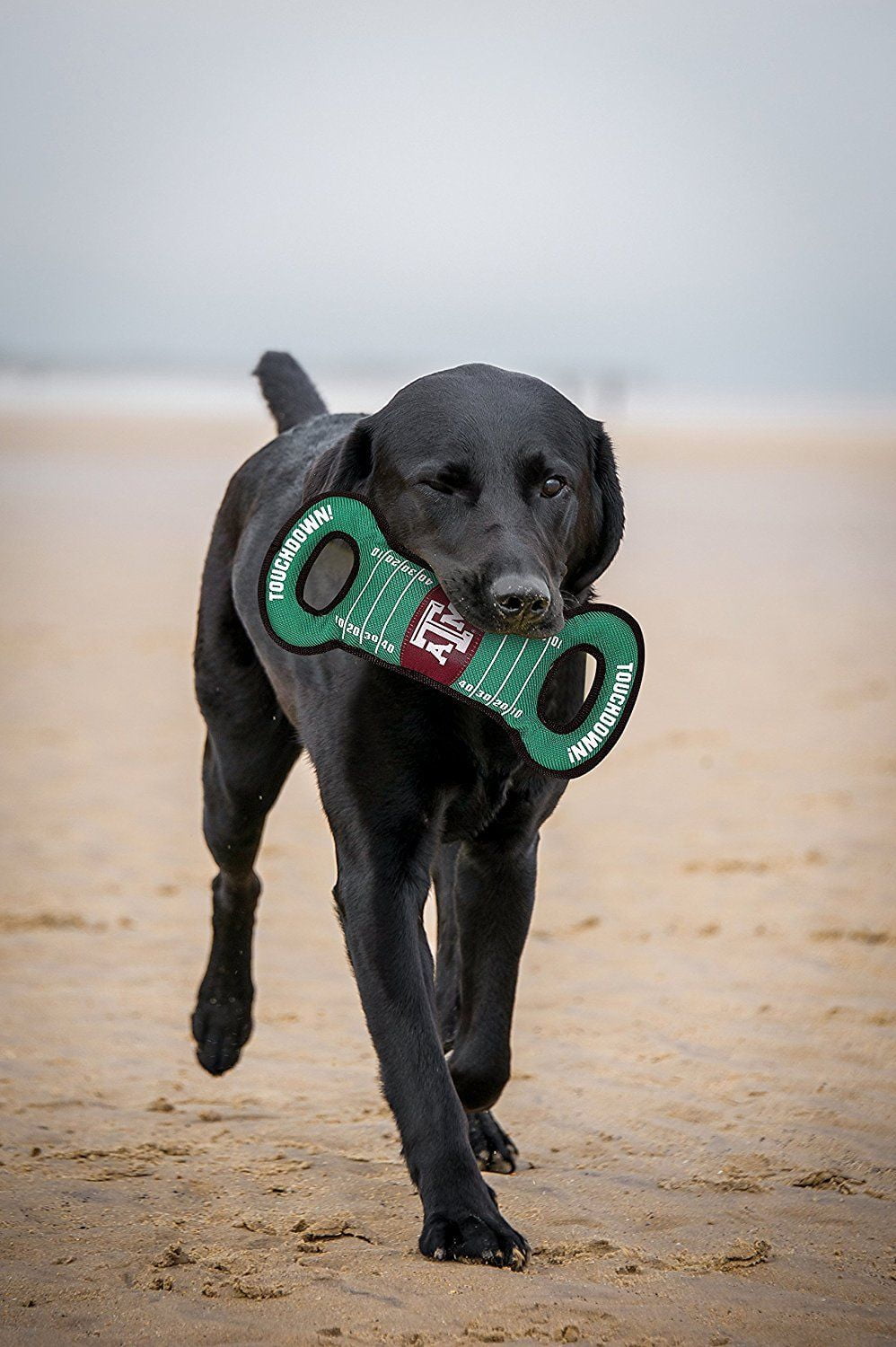 Pets First Collegiate Texas A & M Aggies Football Field Toy for DOGS & CATS. Heavy-Duty, Durable toys with Squeakers