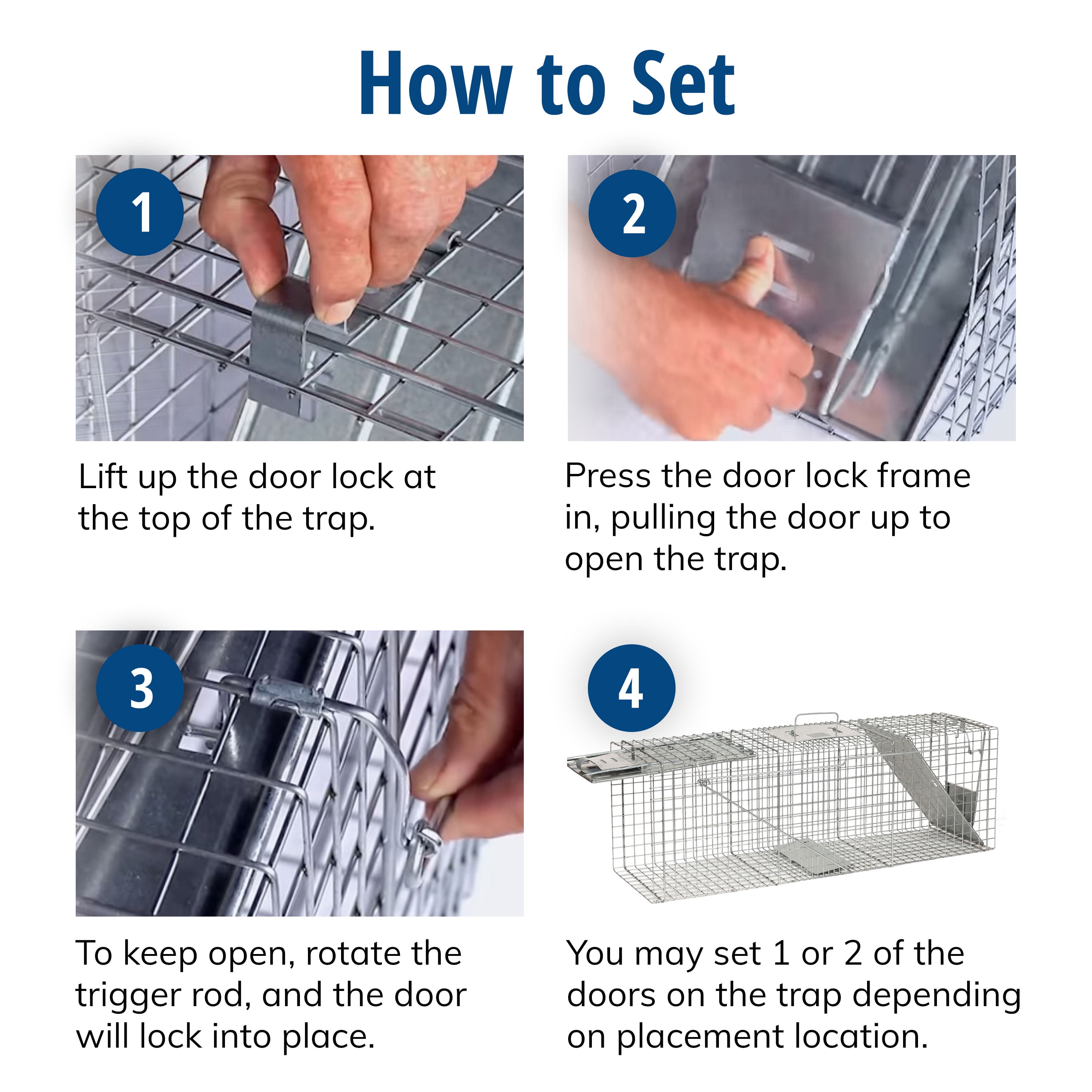 Havahart 1045 Live Animal Raccoon Opossum Groundhog Cage Trap