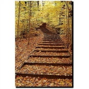 Trademark Fine Art "Fall Stairway" Canvas Art by Kurt Shaffer