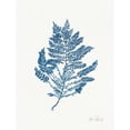 thumbnail image 3 of Pertiet, Katie 12x14 Black Modern Framed Museum Art Print Titled - Sea Garden III Royal Blue, 3 of 5