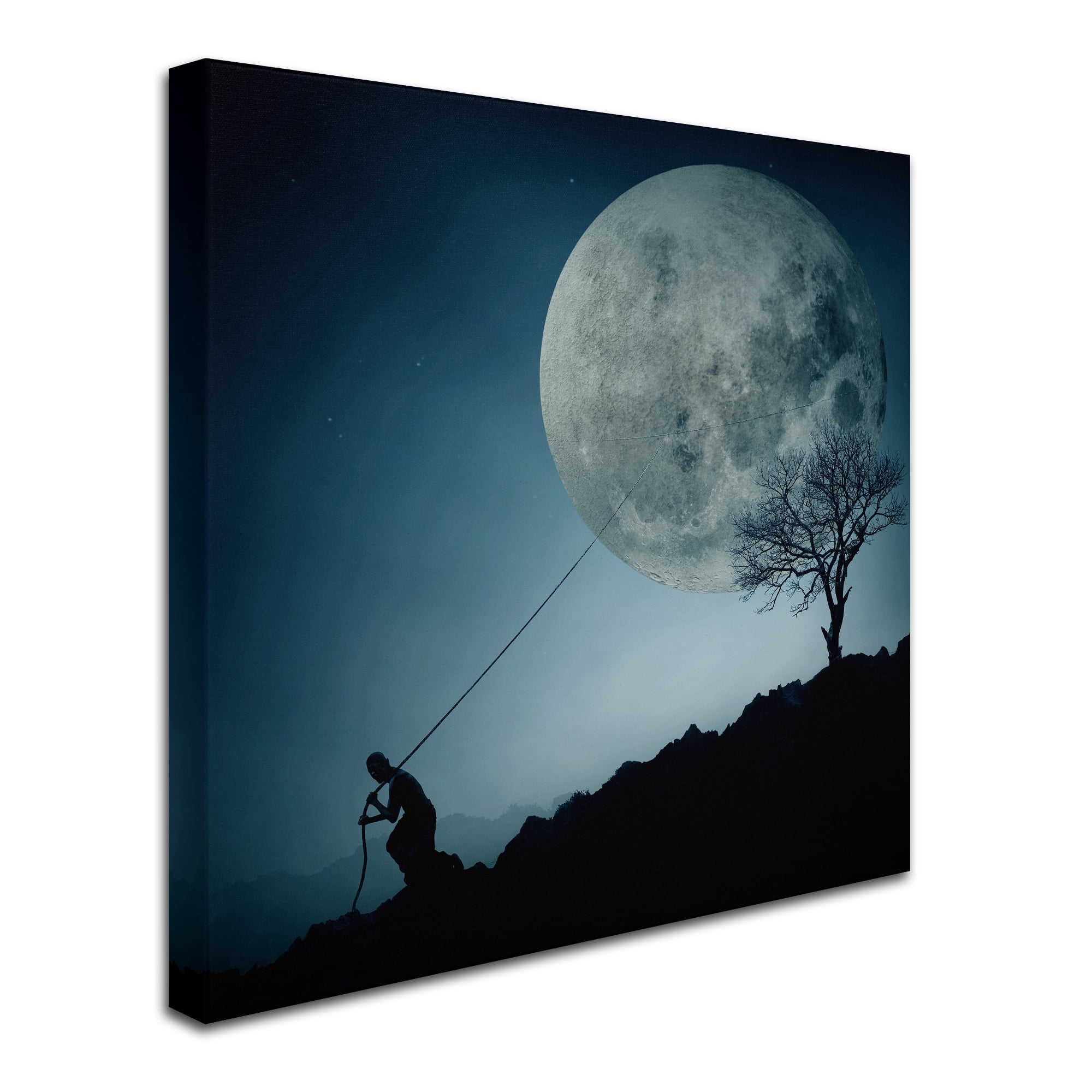 Trademark Fine Art 'The Dreamer' Canvas Art by Final Toto