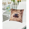 thumbnail image 3 of Sloth To Do Indoor/Outdoor Decorative Throw Pillow, 18" x 18", 3 of 7
