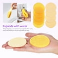 thumbnail image 3 of WORGEOUS 50 Uds esponjas faciales comprimidas esponja de limpieza Facial redonda esponjas faciales exfoliantes esponjas cosméticas esponjas para lavado de cara, 3 of 8