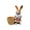 Pink, variant on Blue Easter Resin Bunny Planter For Garden Decor Outdoor Courtyard Window Sill Ornament Flower Pot Holder 9.8X8.3X4.3 Inch Cute Animal Figurine