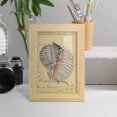 thumbnail image 5 of Seashell Ephemera V - Framed Print w/glass - Natural Wood, 5 of 8