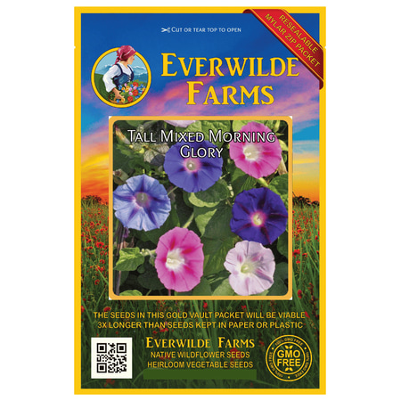Everwilde Farms - 50 Tall Mixed Morning Glory Garden Flower Seeds - Gold Vault Jumbo Bulk Seed (Best Flower Seeds To Plant In April)