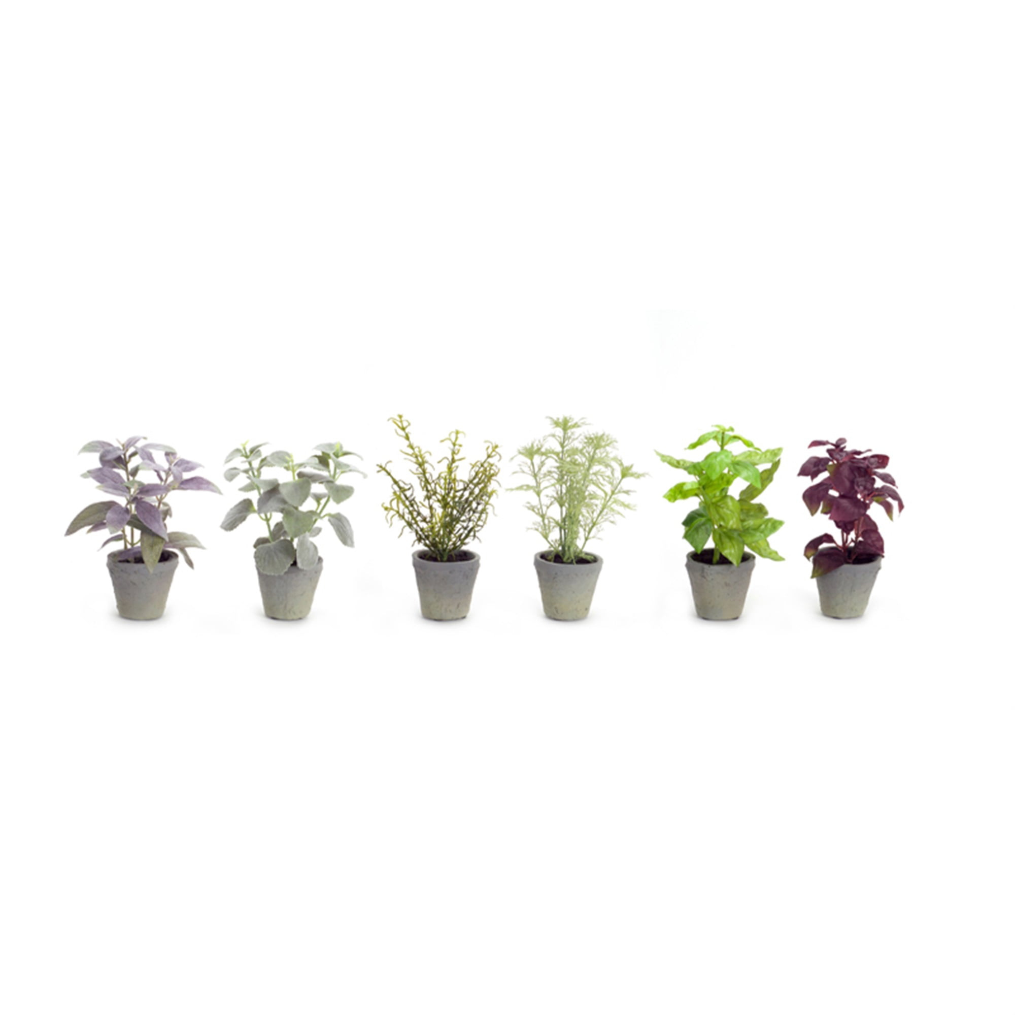 Potted Herb (Set of 12) 7"H Polyester/Plastic