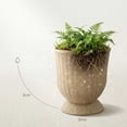 thumbnail image 5 of 2026 9.84 Inch Brown Woven Resin Urn Planter, Decorative Rattan-Style Wicker Flower Pot with Waterproof Lining for Indoor Outdoor Home Decor(1PCS), 5 of 7