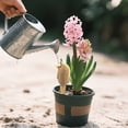 thumbnail image 4 of Automatic Watering Stakes , Self Watering Bird Shaped Irrigation Device , Plastic and Porous Clay Finish , Indoor Potted Plant Care and Home Garden Hydration,7.09 in., 4 of 6