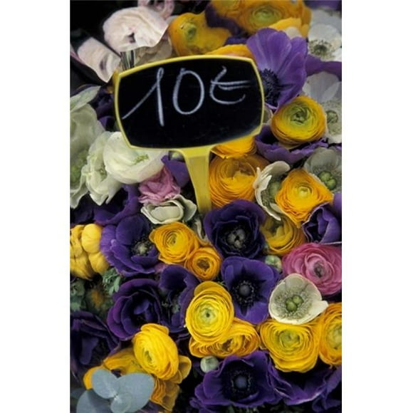 Danita Delimont PDDEU09DBR0089 Flower Bunches Aix En Provence France Poster Print by Dave Bartruff, 18 x 27