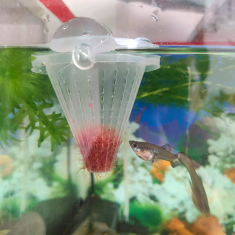 4PCS Aquarium Live Red Worm Cone Feeder Plastic Frozen Brine Shrimp Fish  Food Feeding Cup for Fish Tank with Suckers