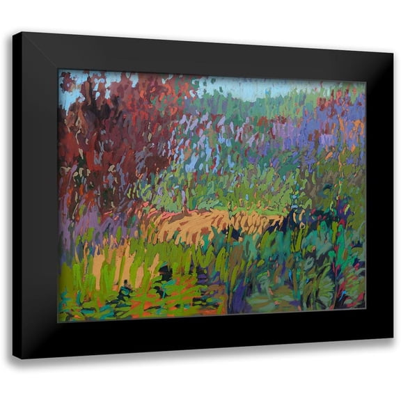 Schmidt, Jane 14x12 Black Modern Framed Museum Art Print Titled - Color Field No. 72
