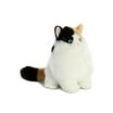 Dumpling Tabby(Fat Cats) 9 inch - Stuffed Animal by Aurora Plush (02476 ...