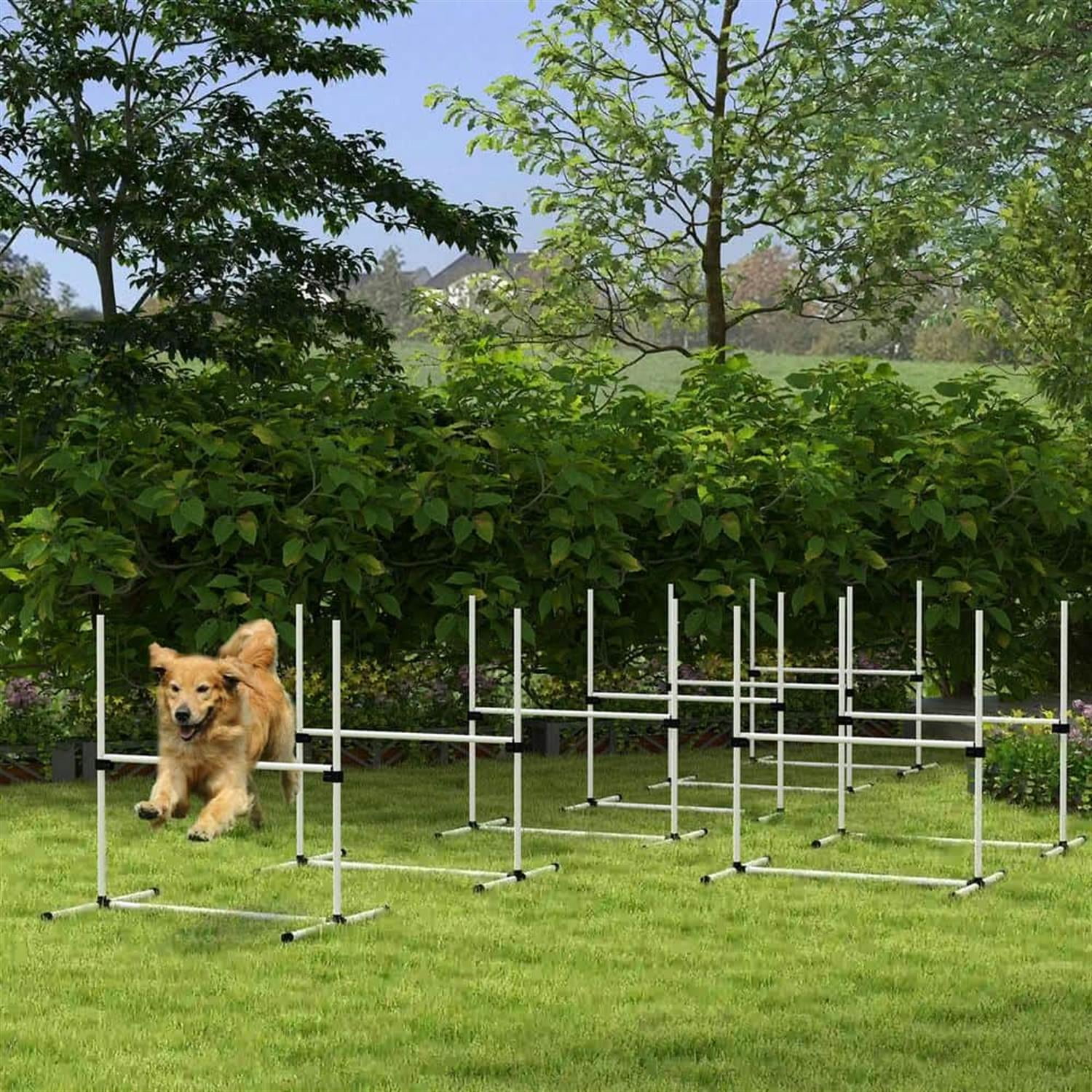 Kadyn 8-Piece Dog Agility Set with Height-Adjustable Bars, Portable Bag, Replacement Top Bar for Dog Training, Pet Agility, White
