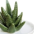 thumbnail image 2 of Ring Jewelry Tray,Ceramic Ring Holder Aloe Aloe Ring Jewelry Holder Ceramic Ring Holder Highly Versatile, 2 of 5